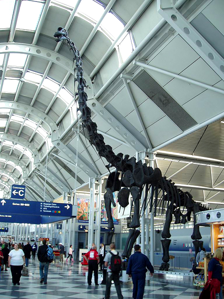 2006-07  USA - Ill.-Chicago-Dino na letišti O´Hare (ORD)