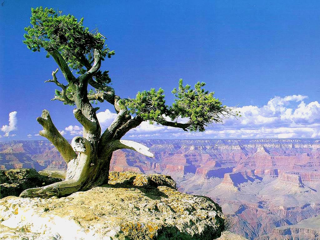 1998-09   USA - Ariz. - fantastický Grand Canyon