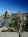 1998-09 USA - Cal.-NP Yosemite-Half Dome