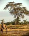 1997-03    KEN - Amboseli po ránu