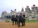2007-04 IND - Karnataka-Mysore palác a sloni indičtí